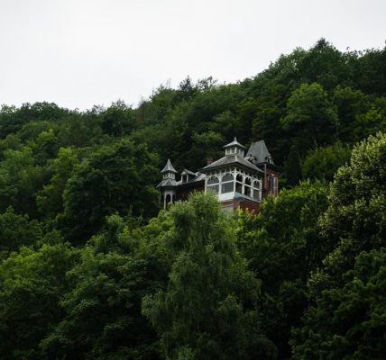 Picturesque view of a secluded villa nestled in the lush forested hills of La Roche-en-Ardenne, Belgium.